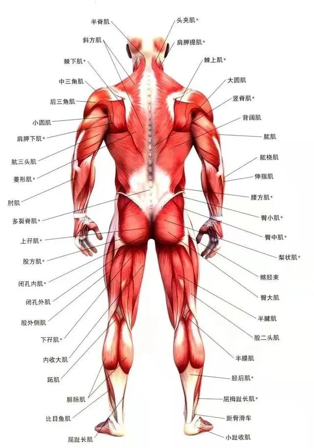 微信图片_2025-09-04_113209_599.jpg