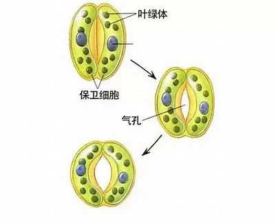 微信图片_2025-09-29_092946_105.jpg